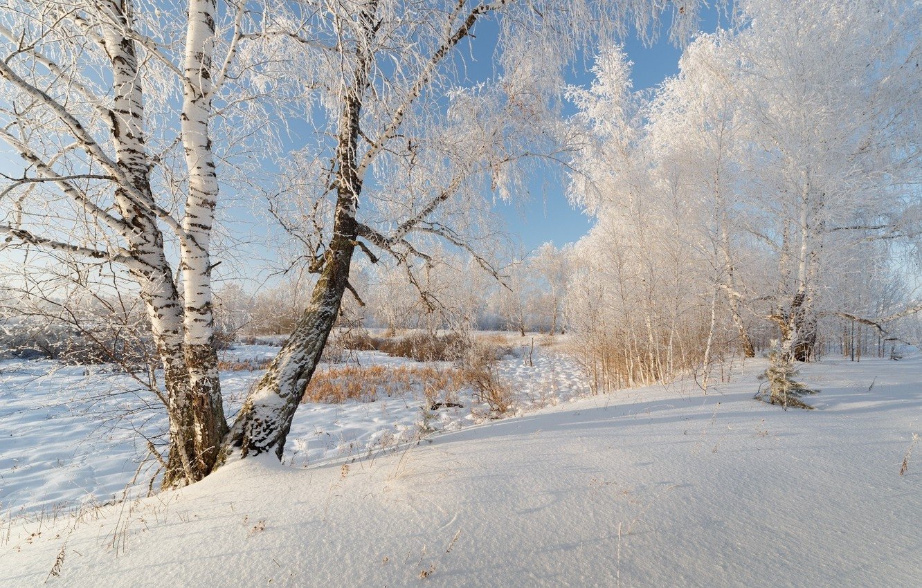 Zimski pejzaži-Winter landscapes - Page 15 0h7uh6y6795