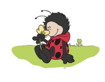 [​IMG]