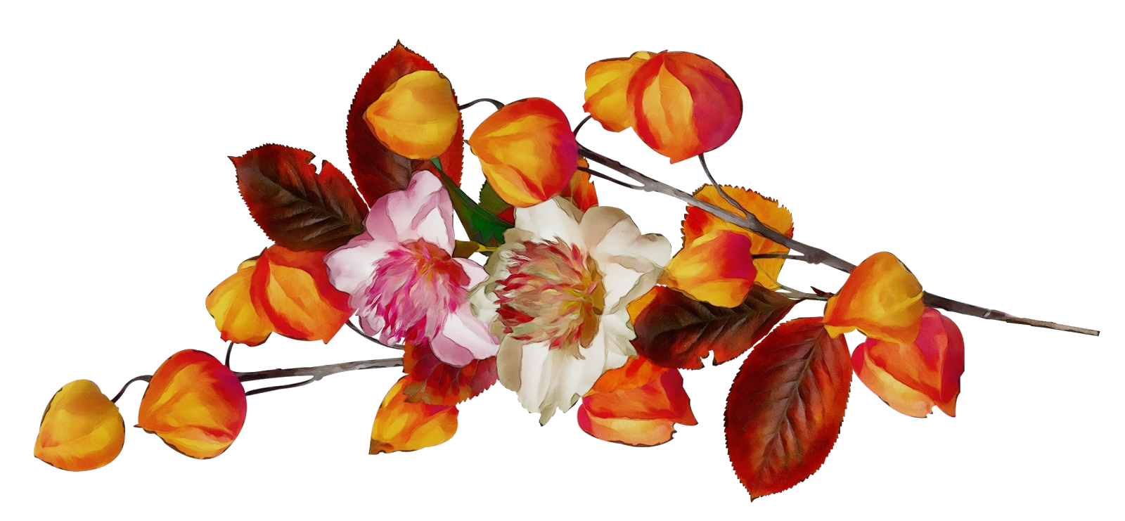 5897djodcdx.png