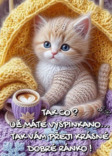 aq0jpkdoi9t.jpg