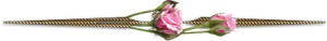 kcodgkx30dy.png