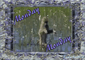 eej13z74fln.gif