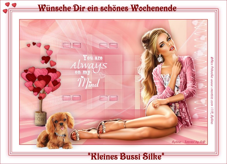 An den Beitrag angehängtes Bild: https://img1.dreamies.de/img/690/b/tuo0u81zc5x.jpg