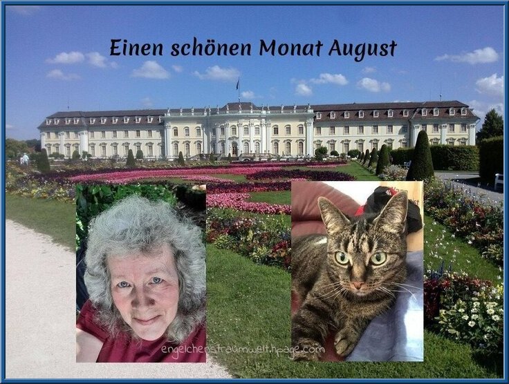 An den Beitrag angehängtes Bild: https://img1.dreamies.de/img/708/b/zx0sraczi0g.jpg