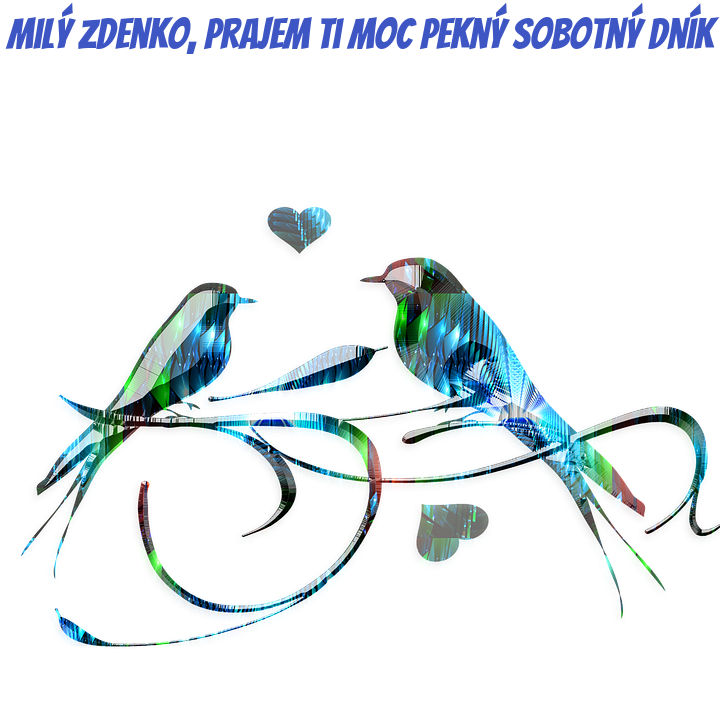 5zdqz7dcz5r.png