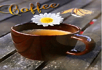 gag0ca6p464.gif