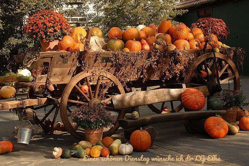 An den Beitrag angehängtes Bild: https://img1.dreamies.de/img/727/b/8b5sh11ovrd.jpg