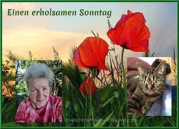 An den Beitrag angehängtes Bild: https://img1.dreamies.de/img/727/b/9yp75digmfe.jpg