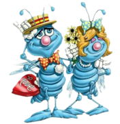 [​IMG]
