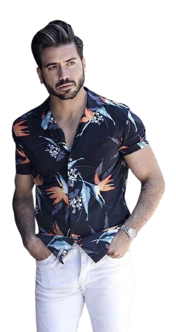 5dikc36luqm.png
