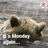 or0ou9tnz1q.gif