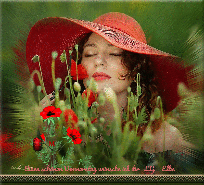 An den Beitrag angehängtes Bild: https://img1.dreamies.de/img/762/b/ze9unmgjssy.gif