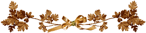 0r742zdy8bu.gif