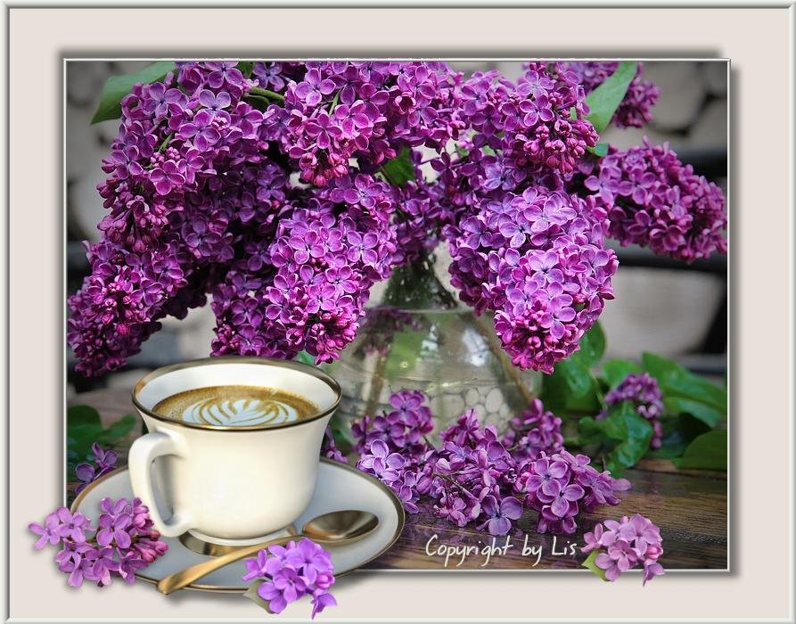 z2d8bo8q8np.jpg
