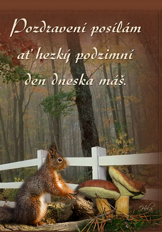 m14xwszukc6.png