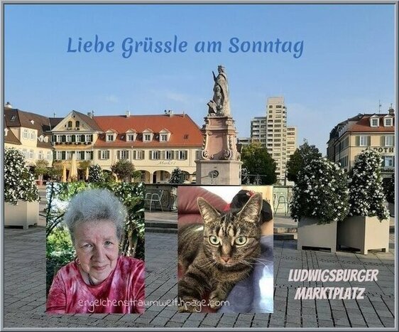 An den Beitrag angehängtes Bild: https://img1.dreamies.de/img/781/b/a2b0xzqo8sk.jpg