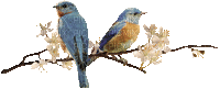ycpuzwh7aqk.gif