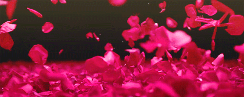 ugf18po8d37.gif