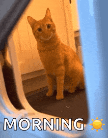 6dv0fdmm9m8.gif