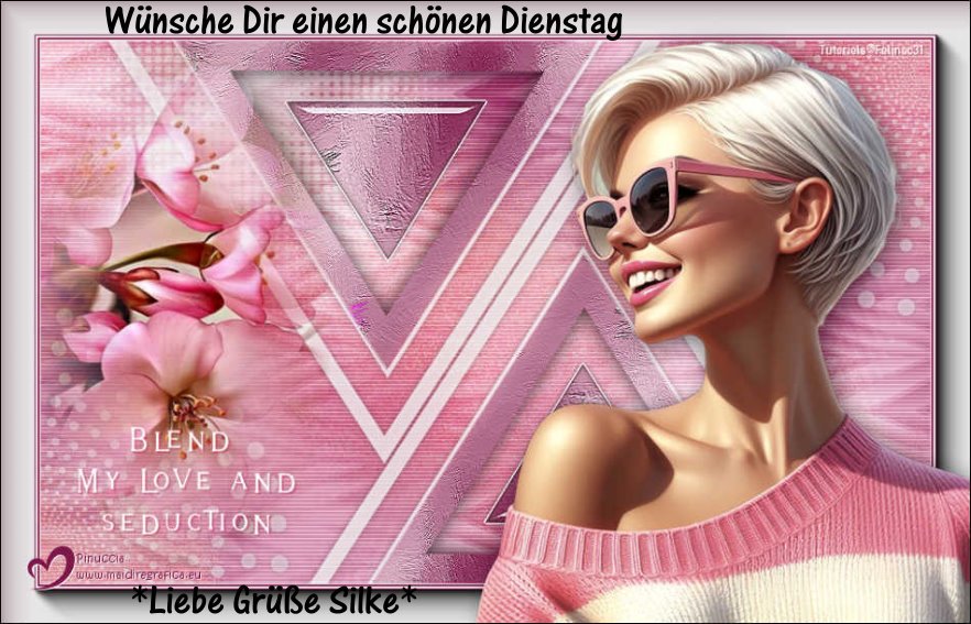 An den Beitrag angehängtes Bild: https://img1.dreamies.de/img/80/b/3bcdnistw6r.jpg