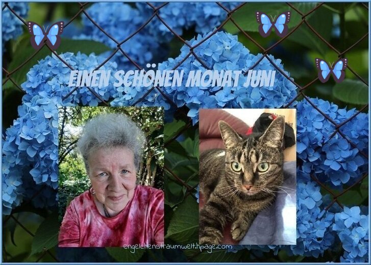 An den Beitrag angehängtes Bild: https://img1.dreamies.de/img/815/b/srdp8durp8m.jpg