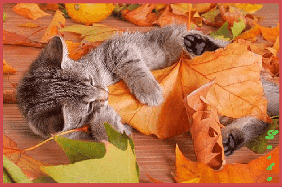 6e71jlps20e.gif