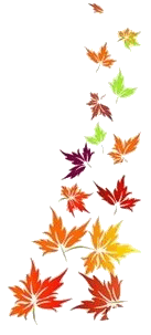 8cjqo32x2kp.gif