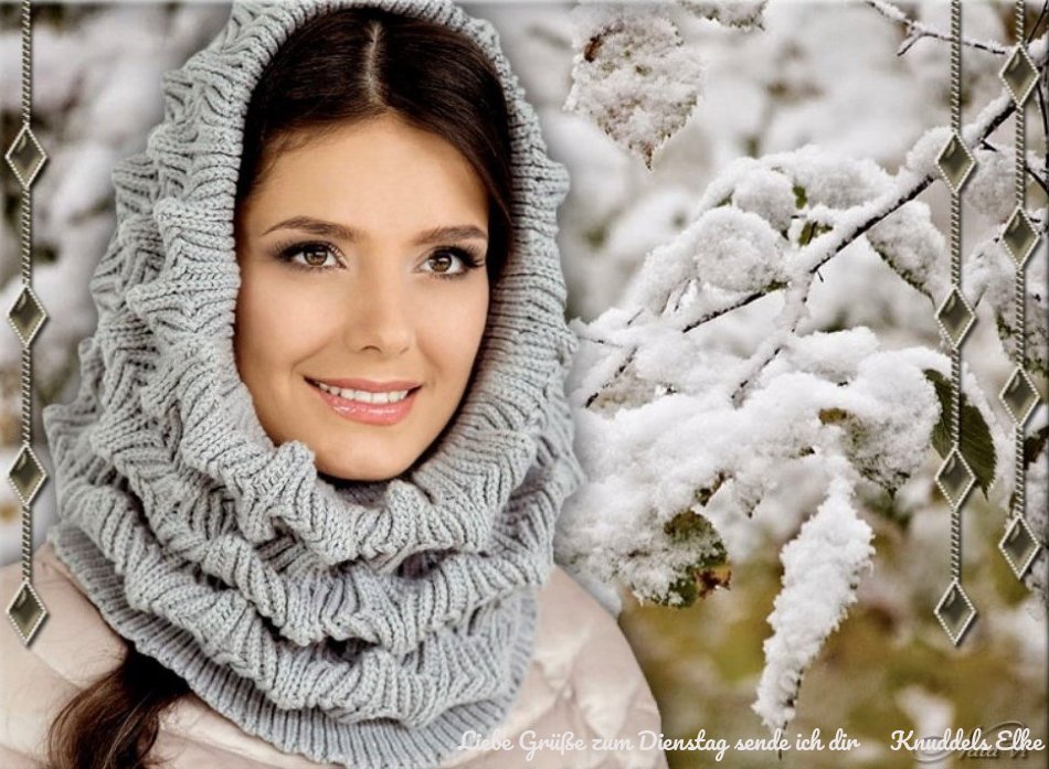 An den Beitrag angehängtes Bild: https://img1.dreamies.de/img/824/b/hwj7y9shgn8.jpg