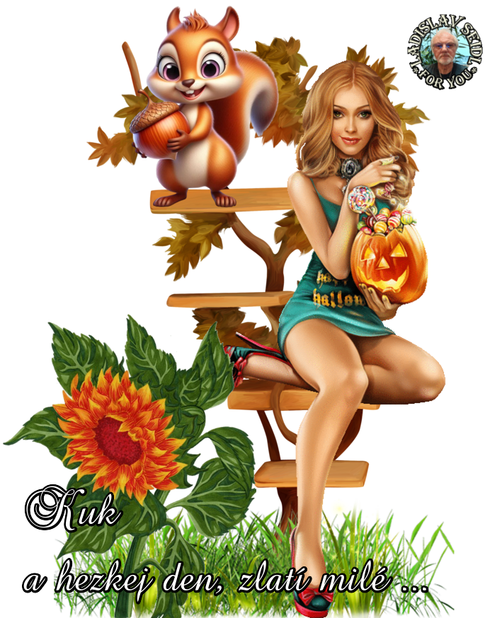 p591afqxt8l.png
