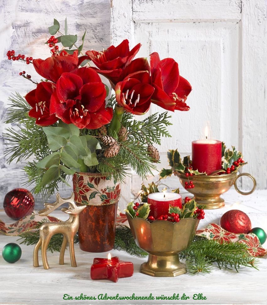 An den Beitrag angehängtes Bild: https://img1.dreamies.de/img/828/b/oc3l5qxvx3n.jpg