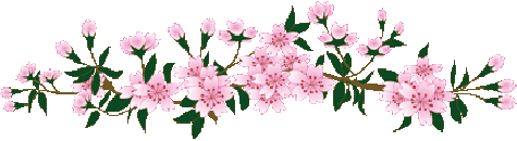 32tx384w266.gif