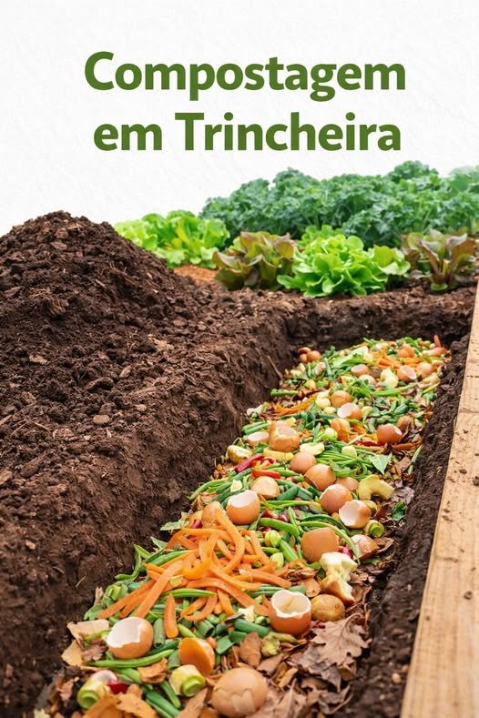 Compostagem em Trincheira