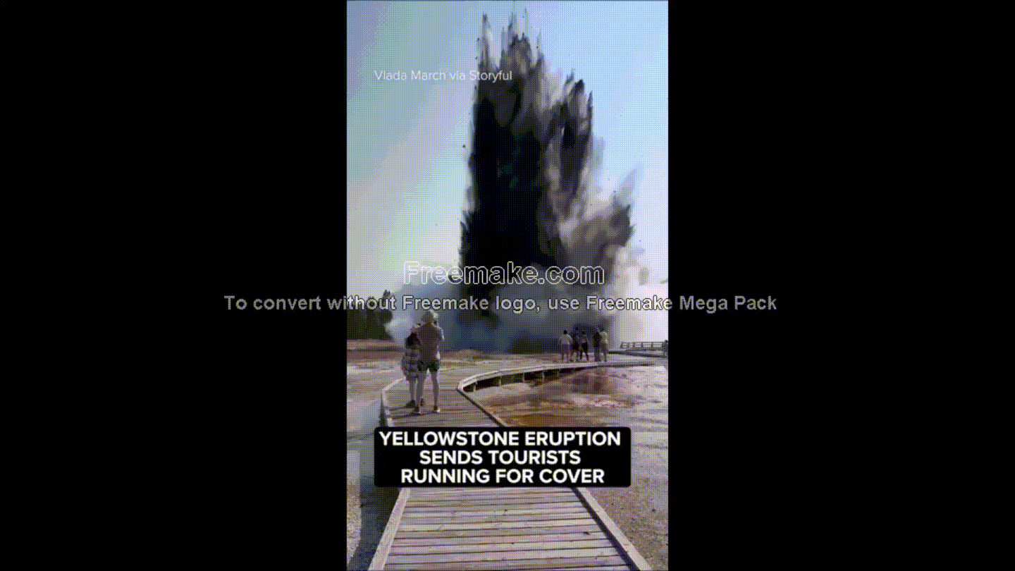 rsi5tgycy9f.gif