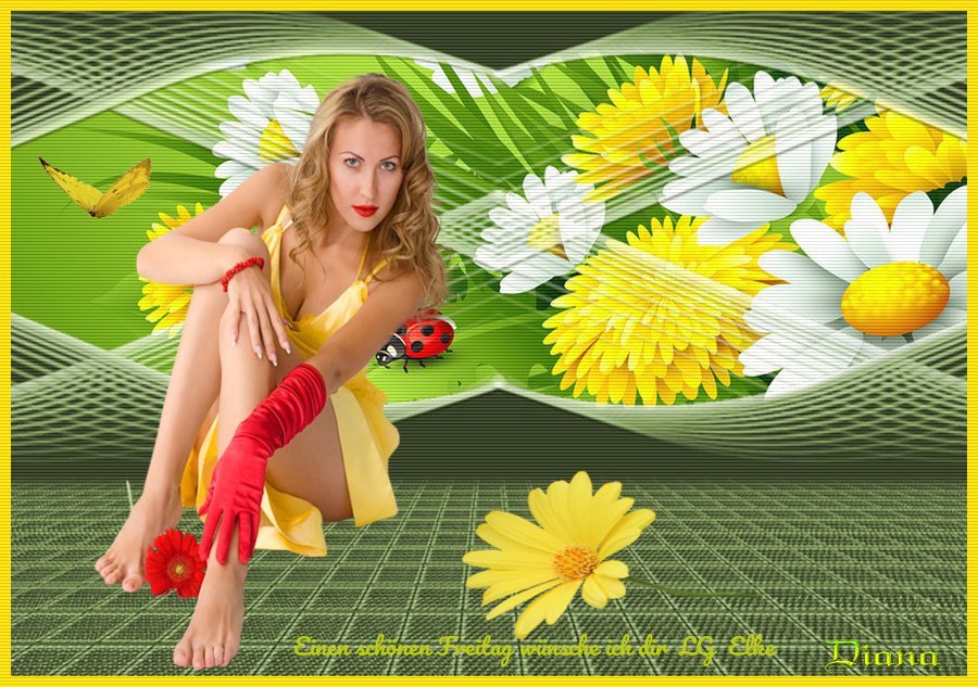 An den Beitrag angehängtes Bild: https://img1.dreamies.de/img/849/b/wr0813c0zi7.jpg
