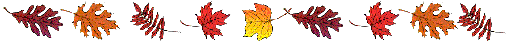 mq1jrtwu75n.gif