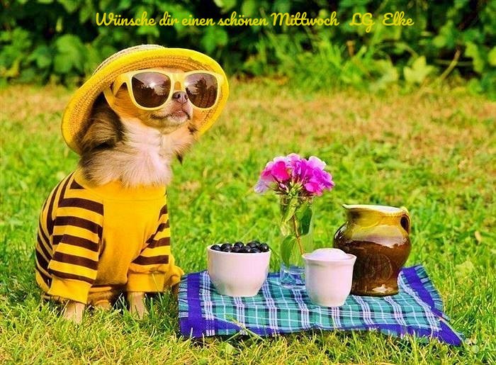 An den Beitrag angehängtes Bild: https://img1.dreamies.de/img/88/b/202quy9g6i4.jpg