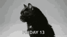 owkiljuj6hj.gif