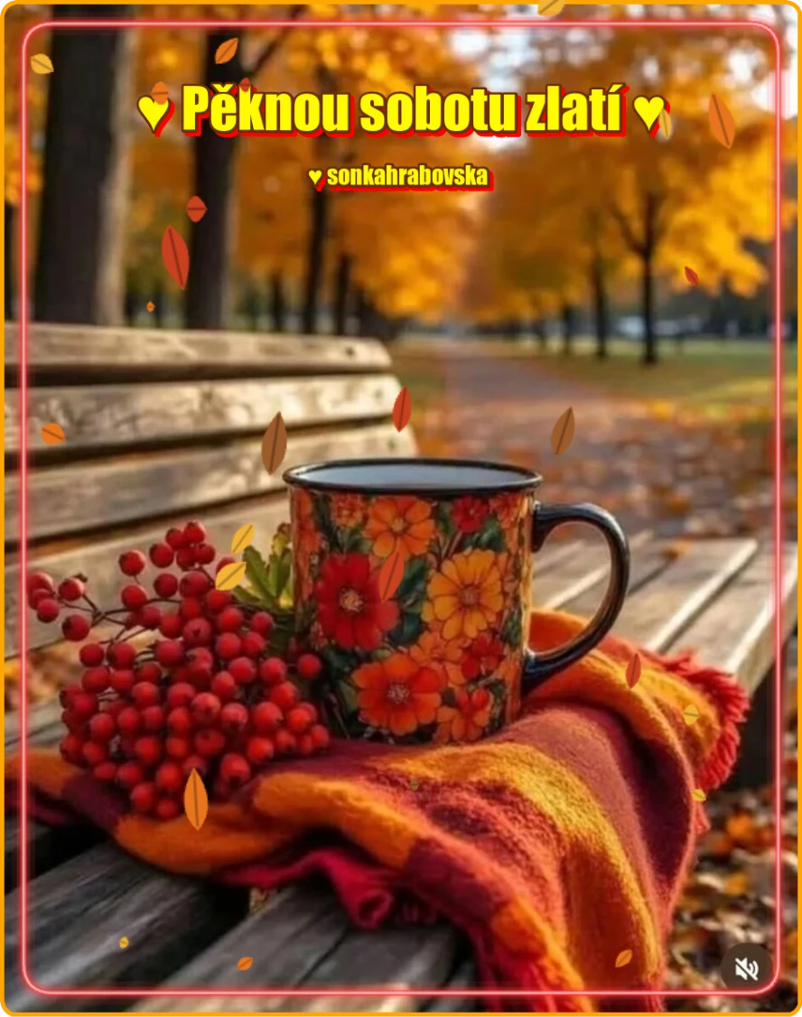 v5qe6yk27as.webp