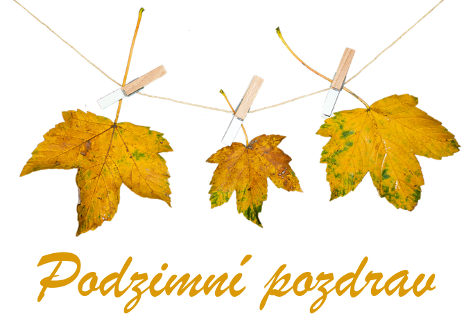 yklxfrncgnw.png