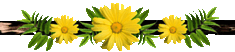 7w3hu0uimna.gif