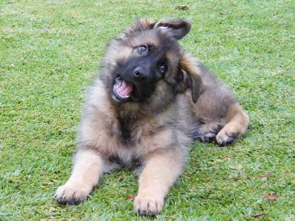 quyxuwd0gy5.jpg
