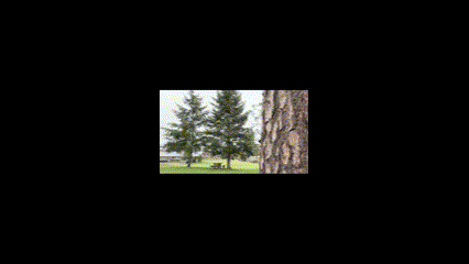 x6g9dvj1kpj.gif
