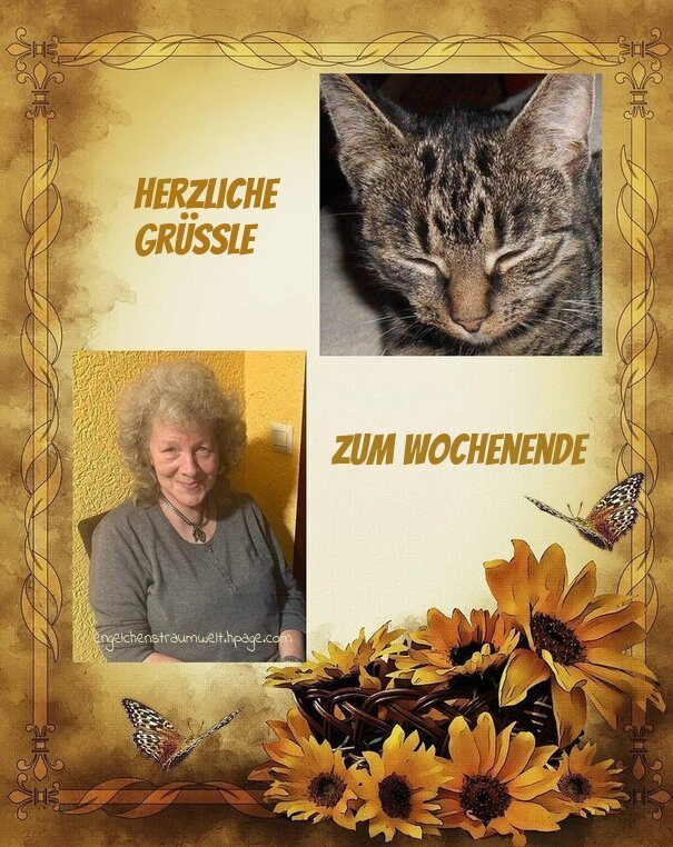 70xhajziqvc.jpg