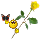 n1aqn5e143f.gif