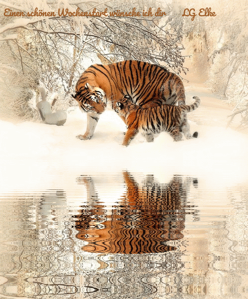 An den Beitrag angehängtes Bild: https://img1.dreamies.de/img/957/b/6py0t9z3jxt.gif