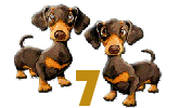 7aon5rgwgk3.gif