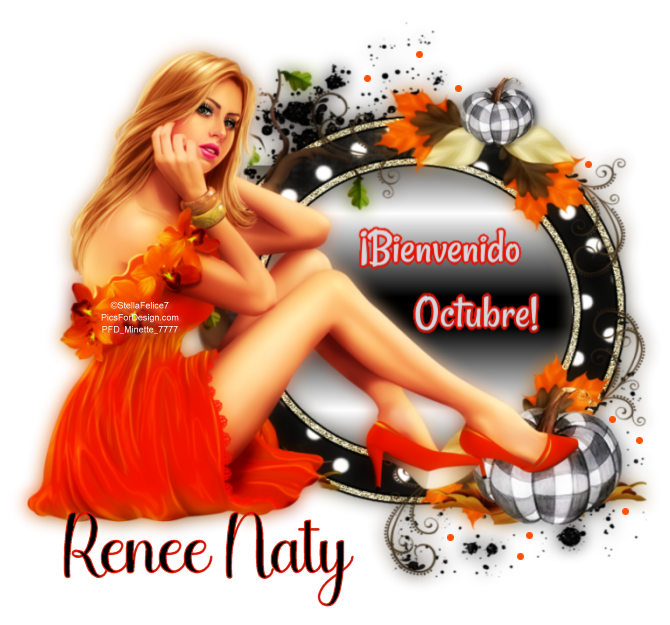 MIERCOLES 10/5 //ACTIVIDAD  CHISTE, MEME,GIF//RENEE NATY Osgkcgvil24