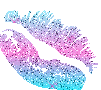 ytaavns5h4q.gif