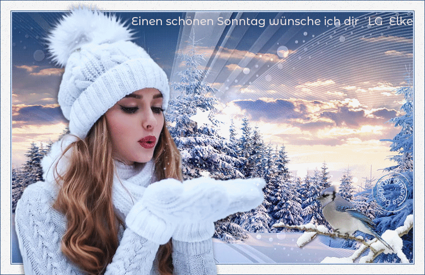 An den Beitrag angehängtes Bild: https://img1.dreamies.de/img/979/b/nqpvn86qmp0.gif