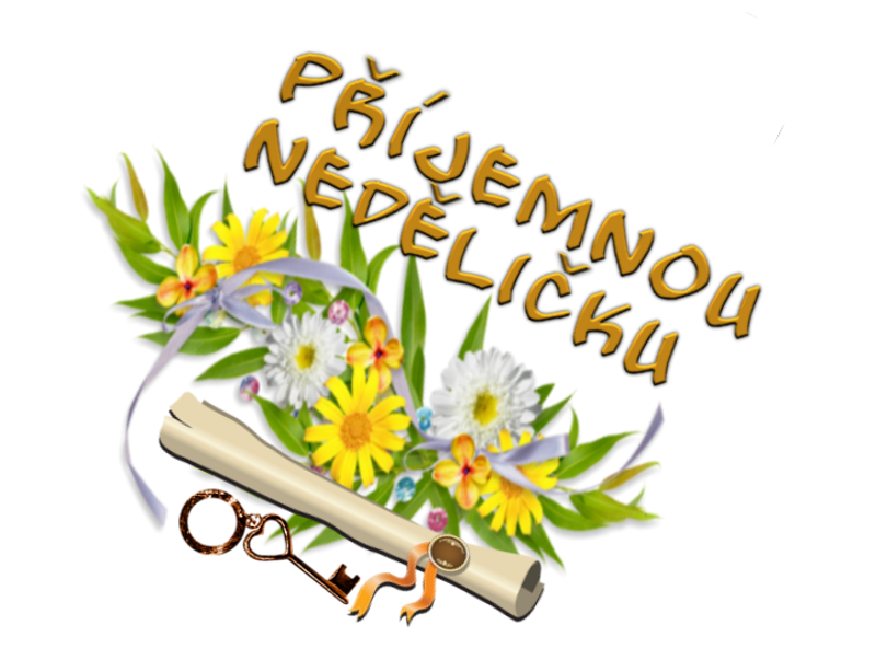 9y4n20y1to7.png